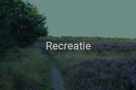 Bruinehaar_recreatie