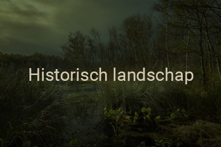Engbertsdijksvenen_historisch landschap
